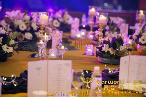 高效、专业、创新——大型企业新品发布会暨新闻发布会一体化策划方案